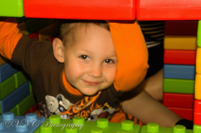 2010_11_13_8081-2 (resized)