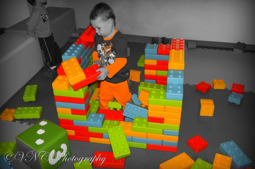 2010_11_13_8103-3 (resized)