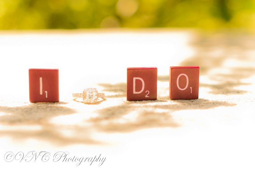 2013_05_25_092-2 (resized)