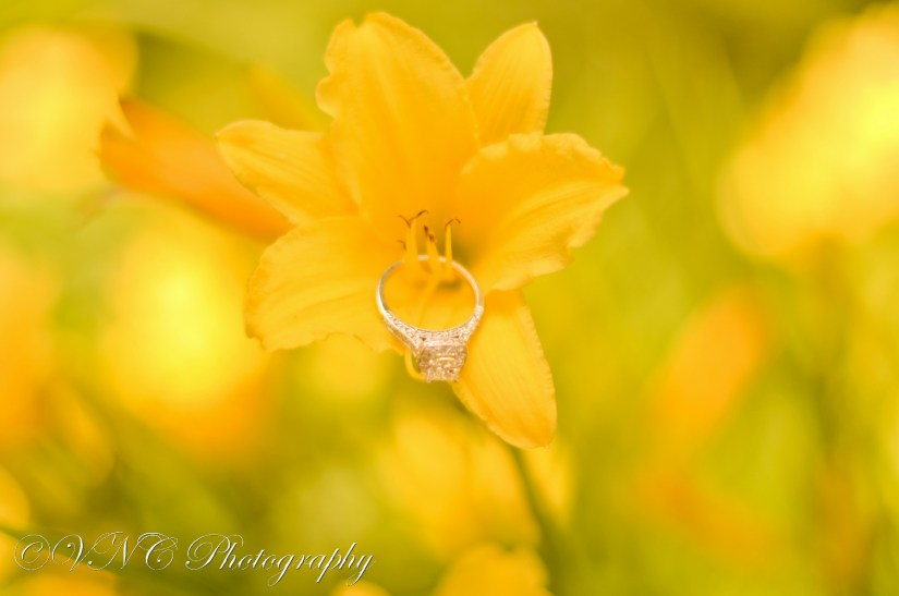 2013_05_25_162-2 (resized)