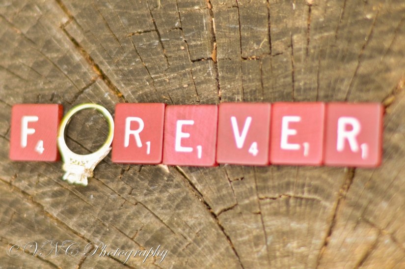 2013_05_25_349-2 (resized)