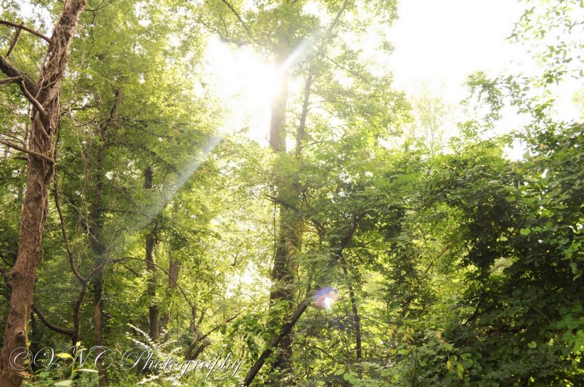 2013_06_10_174517-2 (resized)