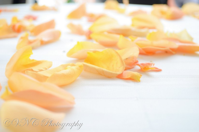 2013_06_10_182954-2 (resized)