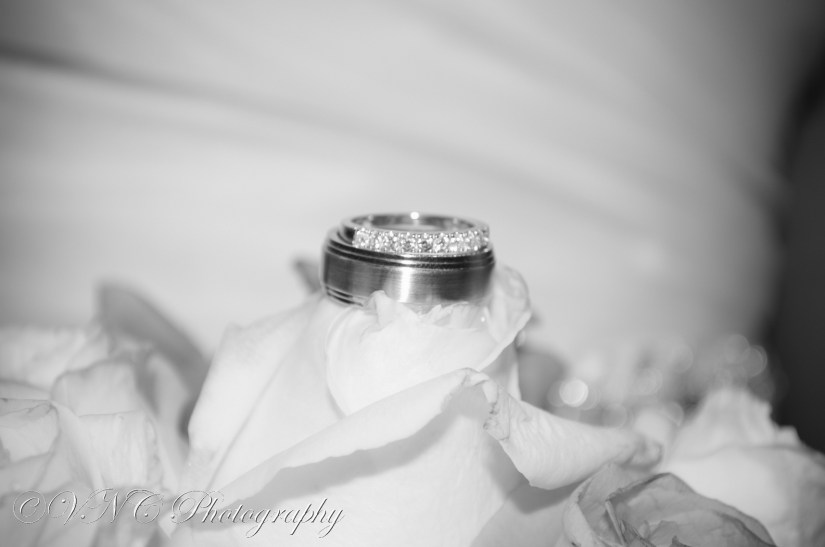 2013_06_10_203850-3 (resized)