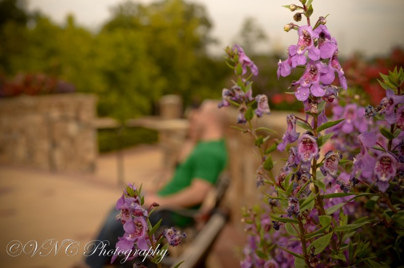 2013_09_15_410-2 (resized)