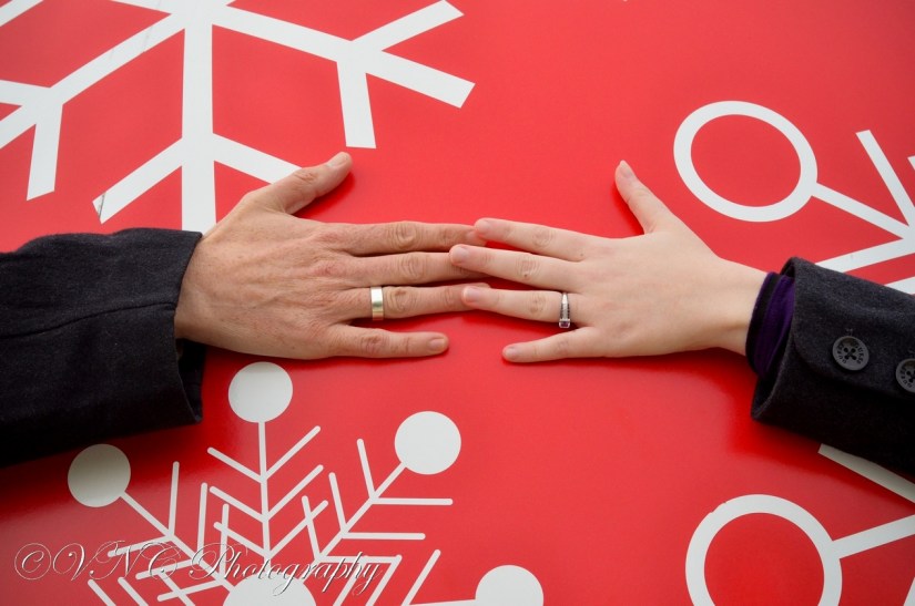 2013_11_30_074-2 (resized)