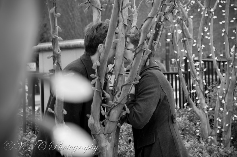 2013_11_30_132-3 (resized)