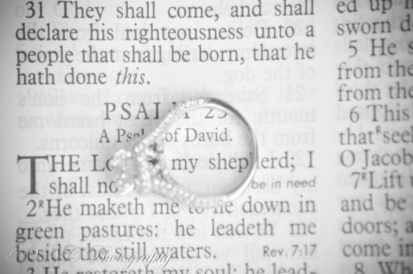 Shepard Wedding 0112