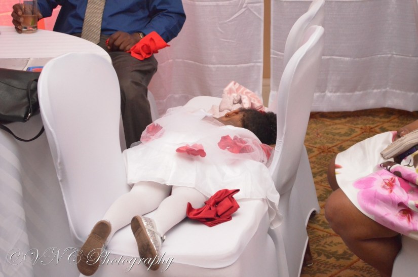 Shepard Wedding 1887