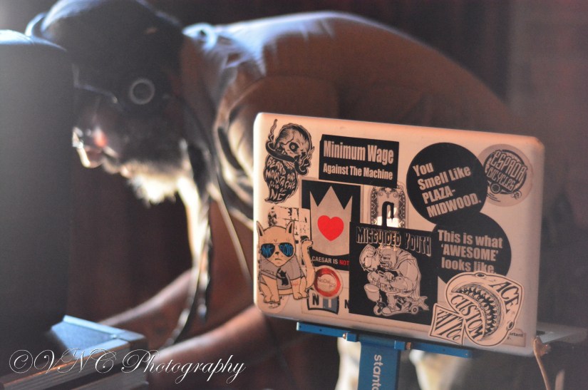 garbarino-reception-044